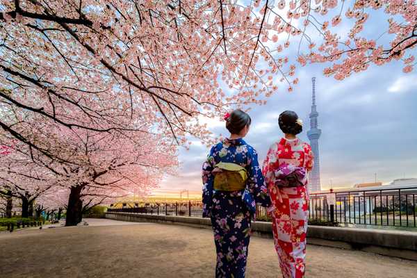 Guide to Hanami in Tokyo: The Best Parks, Times and Tips